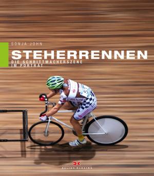 Cover of the book Steherrennen by Nicolas Thon