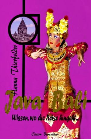 Cover of the book Java und Bali - Wissen, wo die Reise hingeht by Nathan Skaggs
