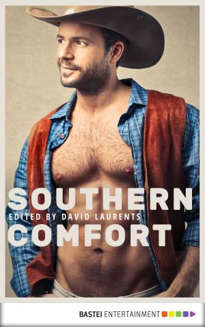 Cover of the book Southern Comfort by Andreas Kufsteiner