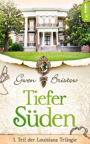 Cover of the book Tiefer Süden by Stefan Frank