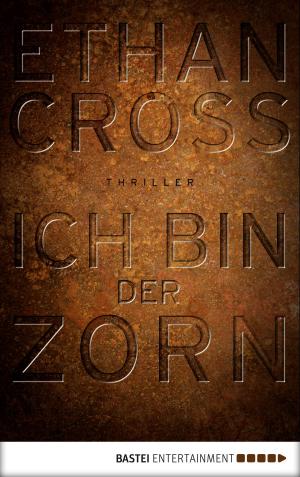 Cover of the book Ich bin der Zorn by Sascha Vennemann
