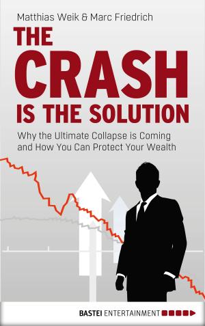 Book cover of The Crash is the Solution