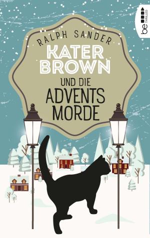 Book cover of Kater Brown und die Adventsmorde