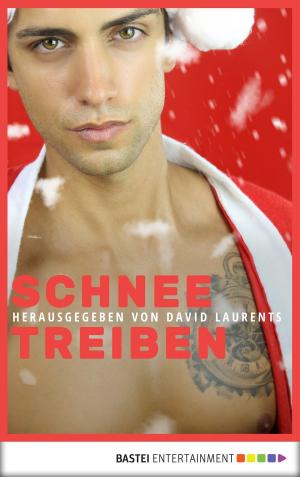 Book cover of Schneetreiben