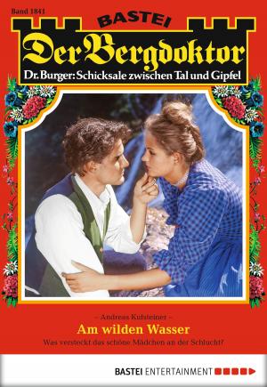 Cover of the book Der Bergdoktor - Folge 1841 by Ina Ritter