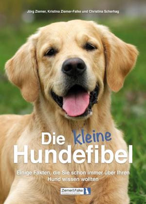 Cover of Die kleine Hundefibel