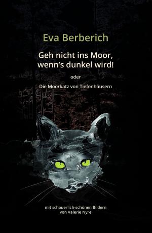 Book cover of Geh nicht ins Moor, wenn’s dunkel wird!