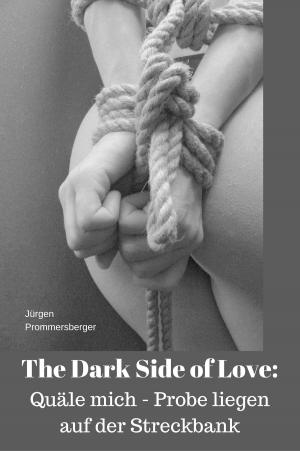 Cover of the book The Dark Side of Love: Quäle mich - Probe liegen auf der Streckbank by Joachim R. Steudel