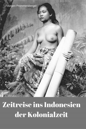 Cover of the book Zeitreise ins Indonesien der Kolonialzeit by Andrea Pirringer