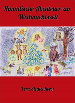 Cover of the book Himmlische Abenteuer zur Weihnachtszeit by Tom Finnek, Mani Beckmann