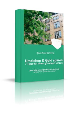 Cover of the book Umziehen und Geld sparen by Britta Bendixen