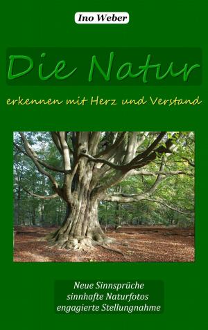 Book cover of Die Natur erkennen mit Herz und Verstand