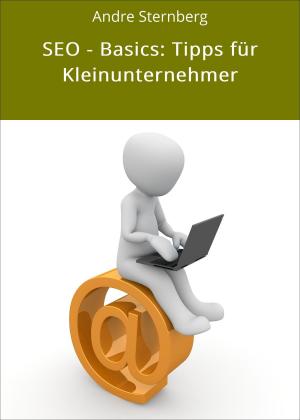 Cover of the book SEO - Basics: Tipps für Kleinunternehmer by Irene Dorfner