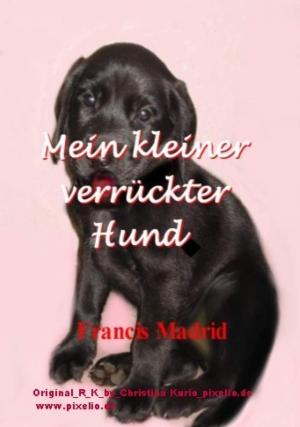 Book cover of Mein kleiner verrückter Hund