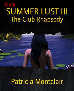 Book cover of SUMMER LUST III