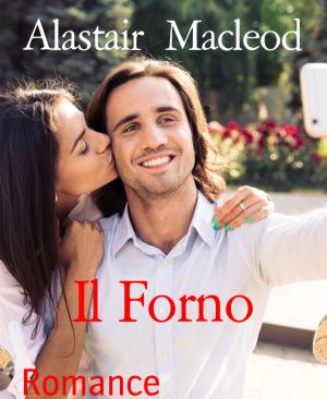 Cover of the book Il Forno by Ewa Aukett