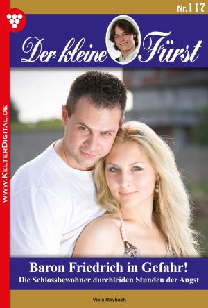Cover of the book Der kleine Fürst 117 – Adelsroman by Gisela Reutling