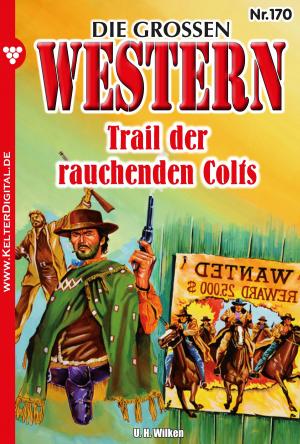 Cover of the book Die großen Western 170 by Susanne Svanberg