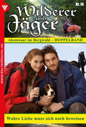Cover of the book Wilderer und Jäger 16 – Heimatroman by Rosa Lindberg