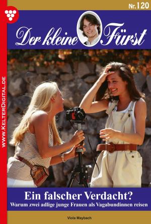 Cover of the book Der kleine Fürst 120 – Adelsroman by Silva Werneburg