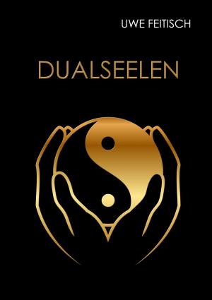 Cover of the book Dualseelen by Sophie Stepper