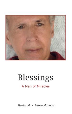 Cover of the book Blessings by Natascha Metzner