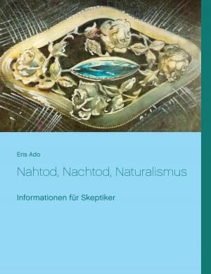 Cover of the book Nahtod, Nachtod, Naturalismus by Yei Theodora Ozaki
