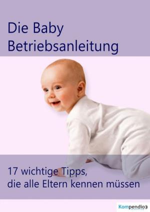 Cover of the book die Baby Betriebsanleitung by Ernst von Wolzogen