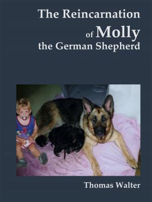 Cover of the book The reincarnation of Molly, the German Shepherd by Selim Cürükkaya