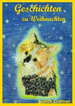 Cover of the book Geschichten zu Weihnachten by Franz Kafka