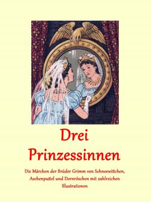 Cover of the book Drei Prinzessinnen by Sue Johnson, Julie Carlson, Elizabeth Bower