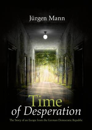 Cover of the book Time of Desperation by Stefan Wahle, Tanja Wahle