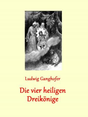 Cover of the book Die vier heiligen Dreikönige by Natalie Jonasson