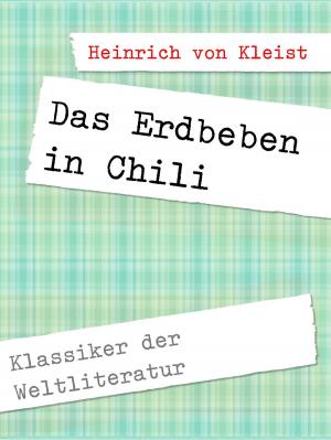 Cover of the book Das Erdbeben in Chili by Reinhard Scheerer