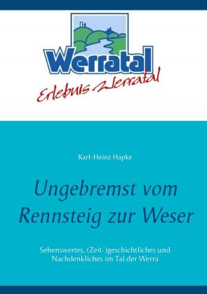 Cover of the book Ungebremst vom Rennsteig zur Weser by Lutz Brana