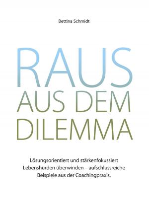 Cover of the book Raus aus dem Dilemma by Friedrich Anzenberger