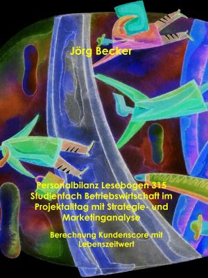 Cover of the book Personalbilanz Lesebogen 315 Studienfach Betriebswirtschaft im Projektalltag mit Strategie- und Marketinganalyse by Josef Miligui