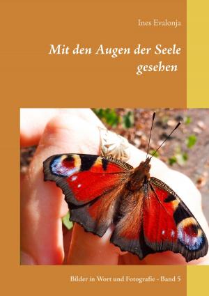 Book cover of Mit den Augen der Seele gesehen