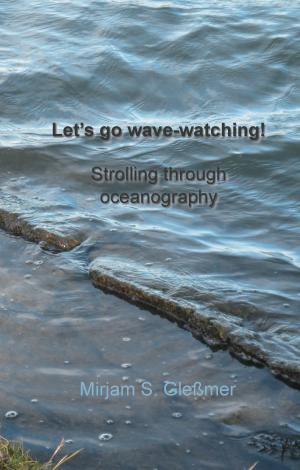 Cover of the book Let's go wave-watching! by Hartmut Schmidt