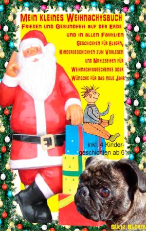Cover of the book Mein kleines Weihnachtsbuch - Frieden und Gesundheit auf der Erde und in allen Familien by Peter Zimmermann