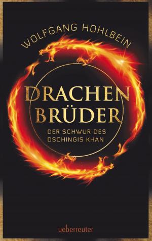 Cover of the book Drachenbrüder by Henrike Curdt