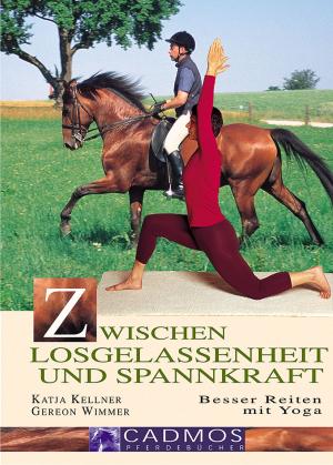 Cover of the book Zwischen Losgelassenheit und Spannkraft by Christine Weidenweber