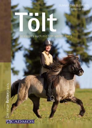 Cover of the book Tölt by Manuela Zaitz