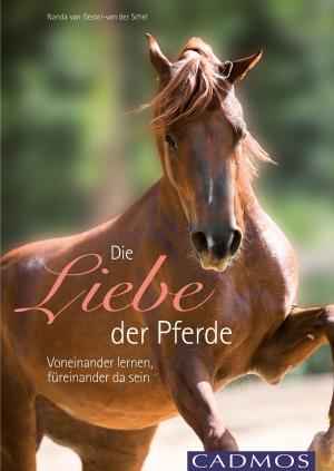 Cover of the book Die Liebe der Pferde by Marlitt Wendt