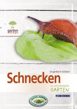 Cover of the book Schnecken by Anders Hallgren