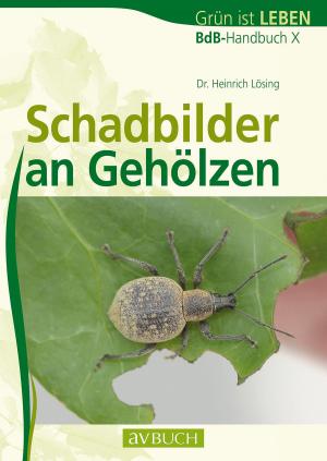 Cover of the book Schadbilder an Gehölzen by Eva Maria Lipp, Ingrid Fröhwein