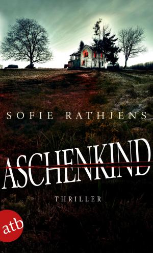 Cover of the book Aschenkind by Martina Bick