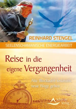 Cover of the book Reise in die eigene Vergangenheit by Susanne Hühn