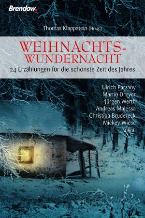 Cover of Weihnachtswundernacht 1