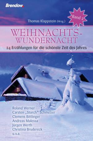 Cover of Weihnachtswundernacht 2